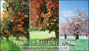 pruning in different seasons