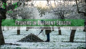 pruning in dormant season