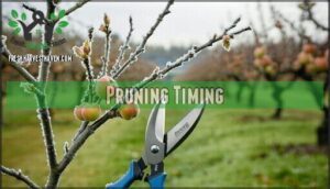 pruning timing