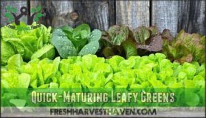 quick-maturing leafy greens
