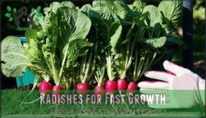 radishes for fast growth
