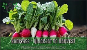 radishes – quickest to harvest