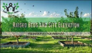 raised beds and site elevation