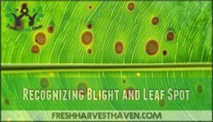 recognizing blight and leaf spot