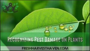 recognizing pest damage on plants