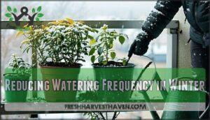 reducing watering frequency in winter