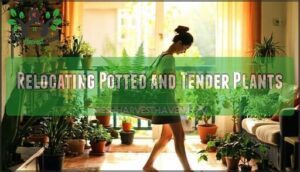 relocating potted and tender plants