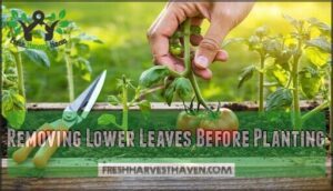 removing lower leaves before planting