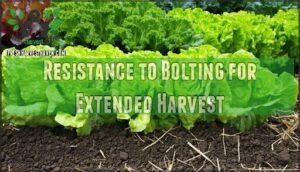resistance to bolting for extended harvest