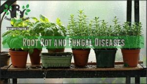 root rot and fungal diseases