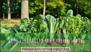 root vegetables for partial shade