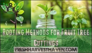 rooting methods for fruit tree cuttings