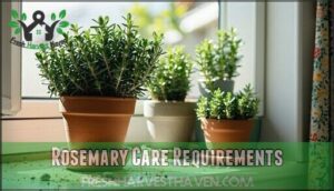 rosemary care requirements