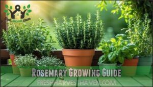 rosemary growing guide