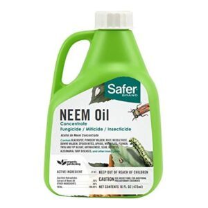 Safer Brand 5182 6 Neem Oil B079M1RRY7