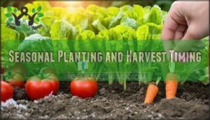 seasonal planting and harvest timing