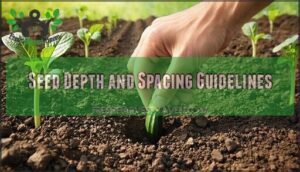 seed depth and spacing guidelines
