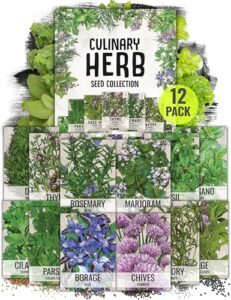 Seed Needs Herb Seeds Variety B003BM42R6