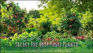 select the best fruit plants
