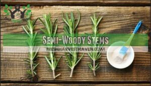 semi-woody stems