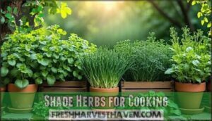 shade herbs for cooking