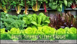 shade-tolerant leafy greens