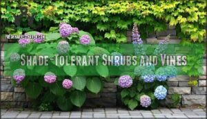 shade-tolerant shrubs and vines