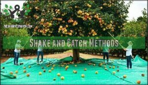 shake and catch methods