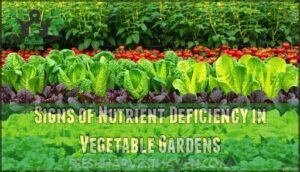 signs of nutrient deficiency in vegetable gardens