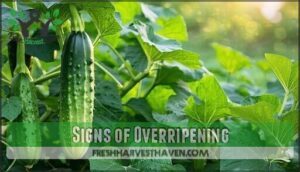 signs of overripening