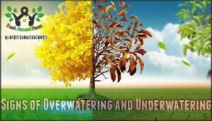 signs of overwatering and underwatering