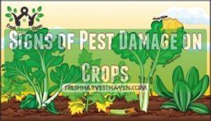signs of pest damage on crops