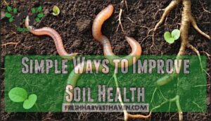 simple ways to improve soil health