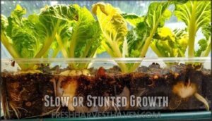slow or stunted growth