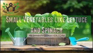 small vegetables like lettuce and spinach