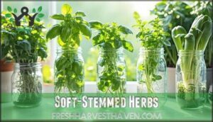 soft-stemmed herbs