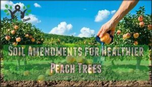 soil amendments for healthier peach trees