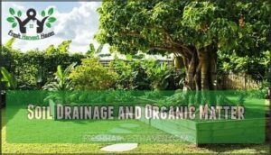 soil drainage and organic matter