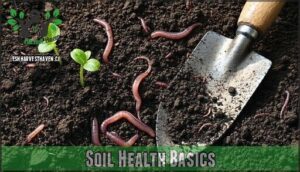 soil health basics