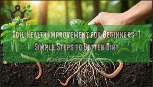 soil health improvement for beginners
