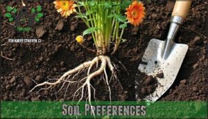 soil preferences
