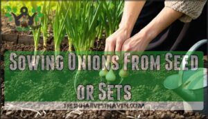 sowing onions from seed or sets