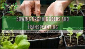 sowing organic seeds and transplanting