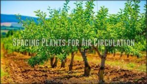 spacing plants for air circulation