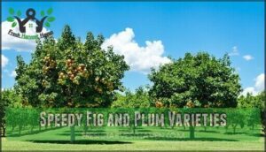 speedy fig and plum varieties