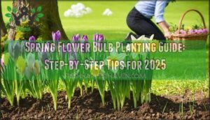 spring flower bulb planting guide