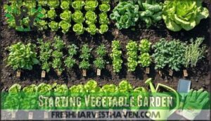 starting vegetable garden