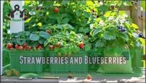 strawberries and blueberries