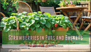 strawberries in pots and baskets