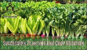 succession planting and crop rotation